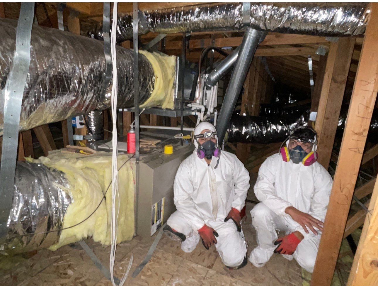 Professional attic cleaning technicians in Los Angeles