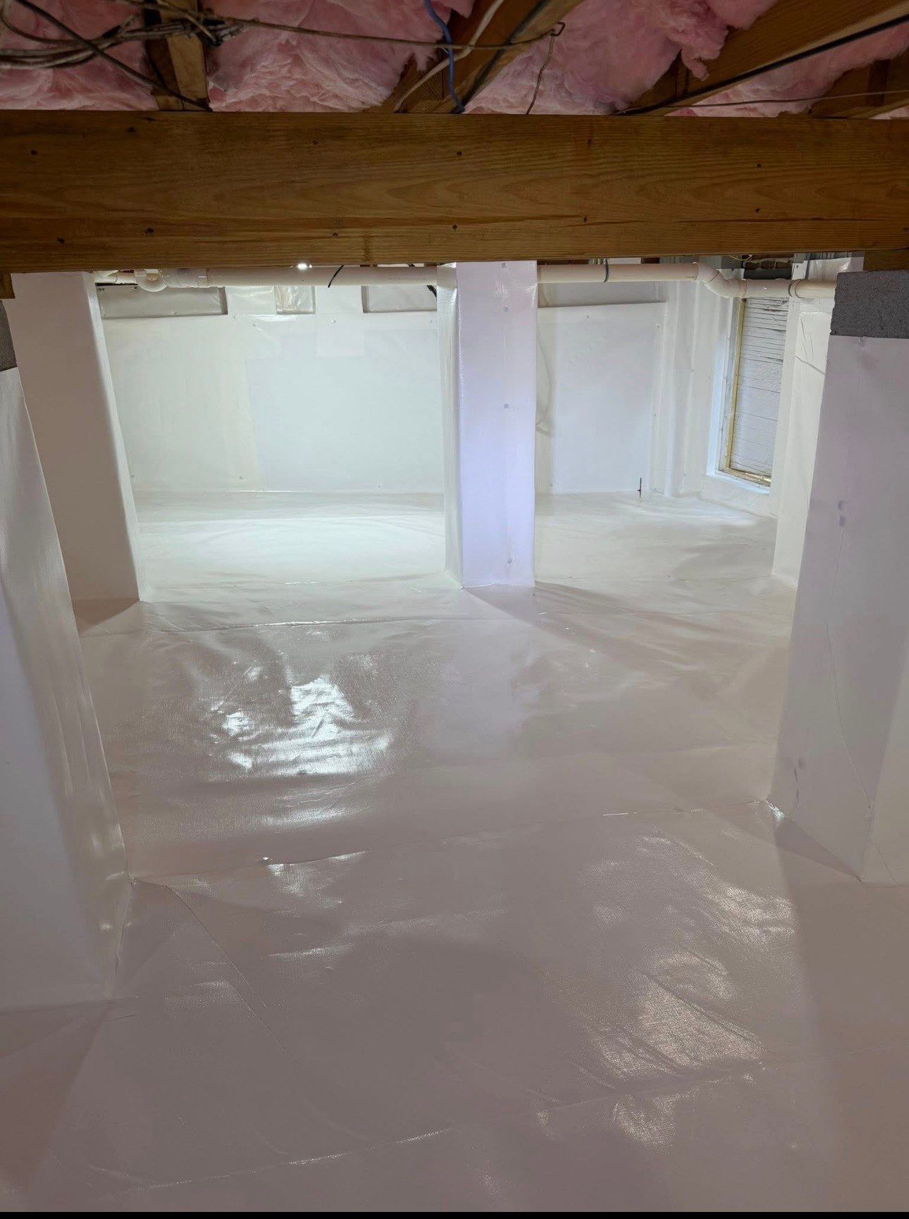 Professional crawlspace encapsulation services in Los Angeles