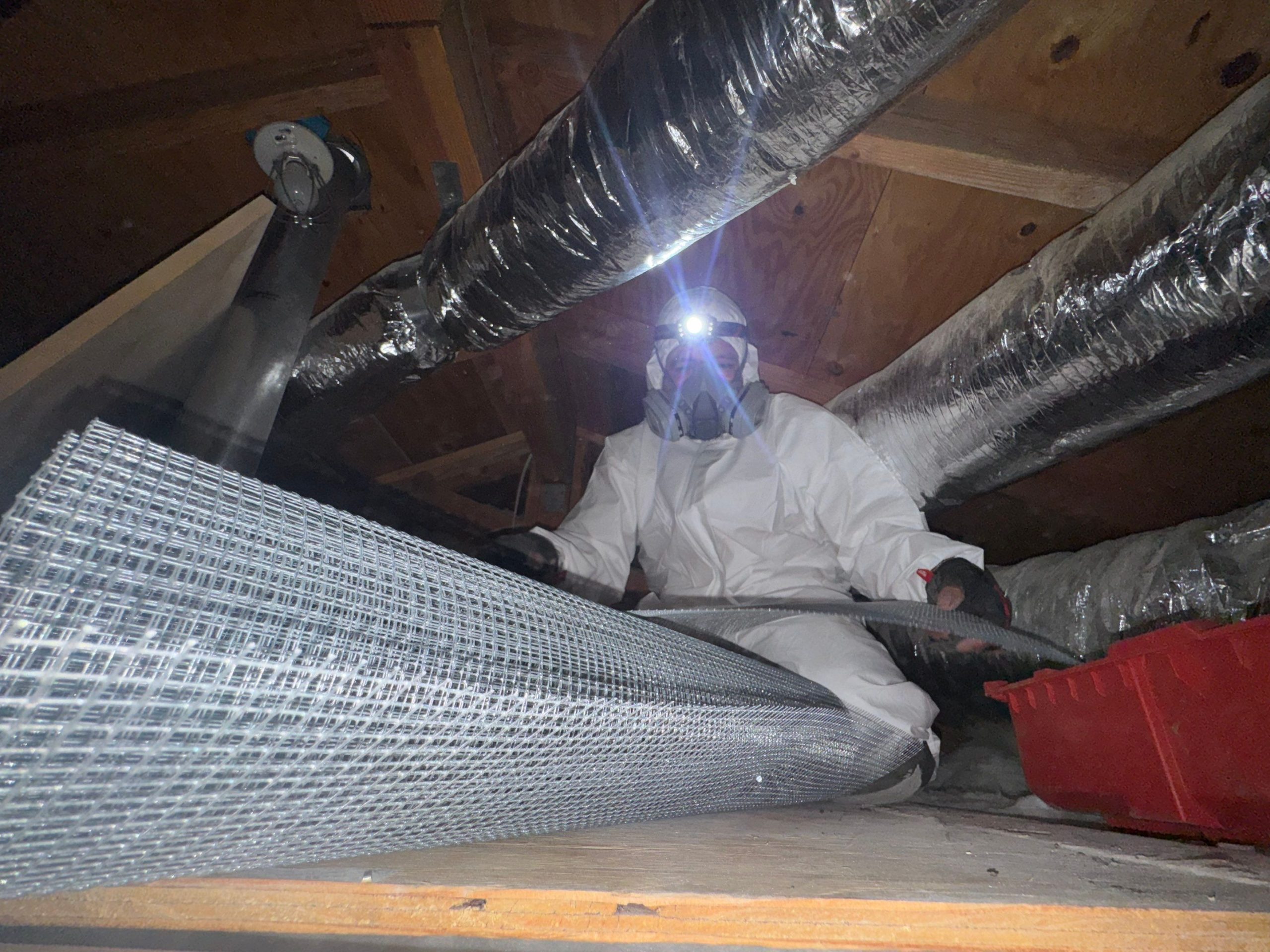 Rodent proofing services in Los Angeles attic space
