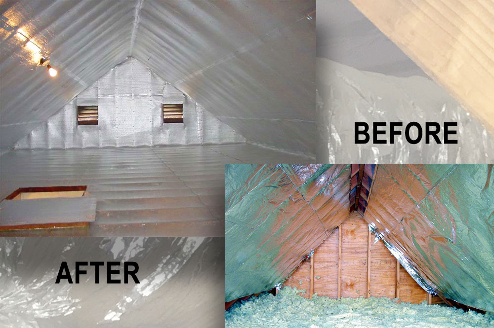 Before and after crawl space cleaning service