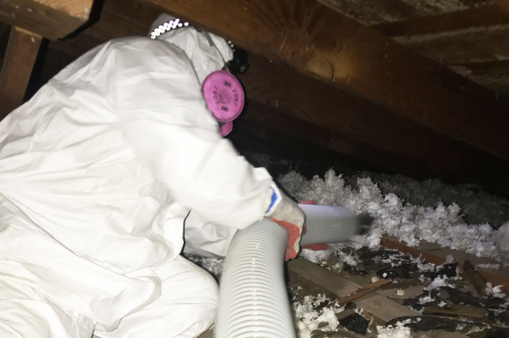 attic-cleaning3 Image Air Ducts Commercial